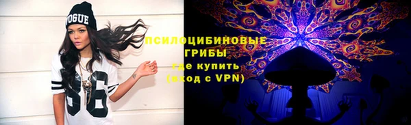 стафф Михайлов