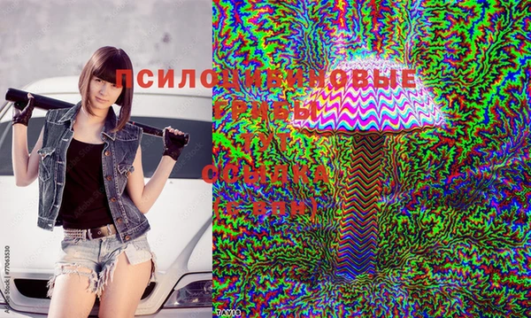 скорость Михайловск