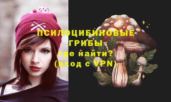 мескалин Надым