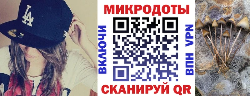 купить  сайты  Опочка  Псилоцибиновые грибы мицелий 
